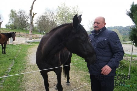 В Германии начались съемки документального фильма о черкесской лошади под рабочим названием «Шагди»